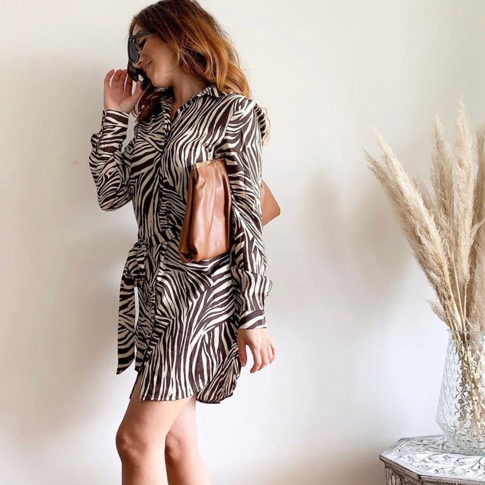 H&M Brown Zebra Print Blouse with Tie Belt